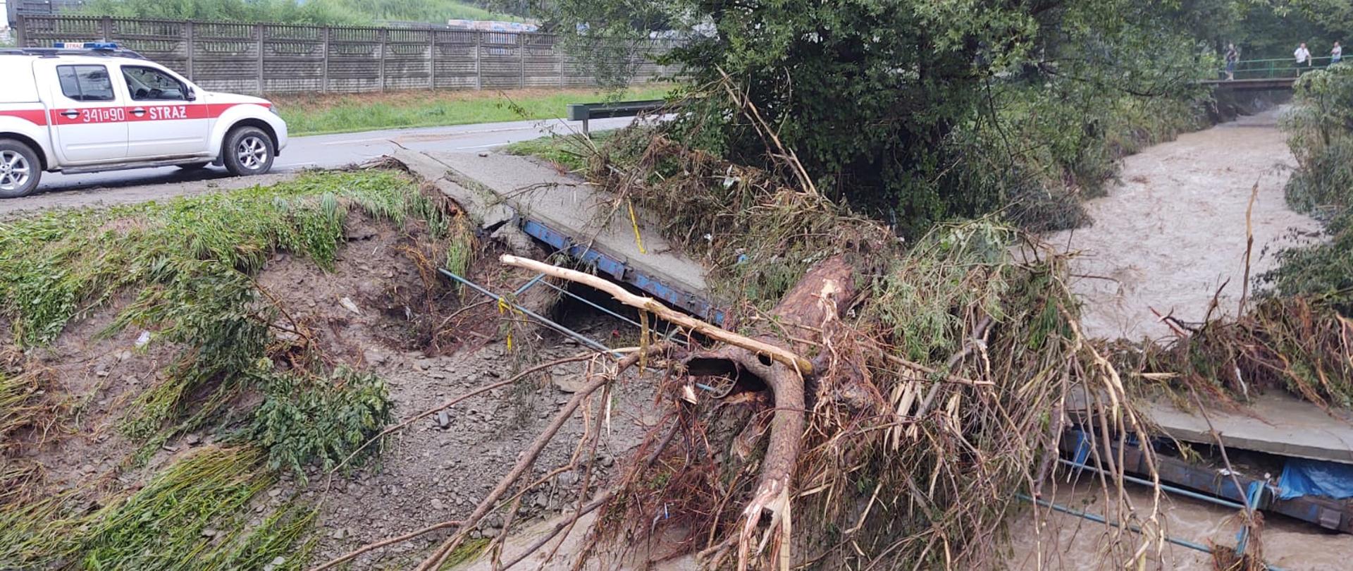 Gałęzie na uszkodzonym mostku.