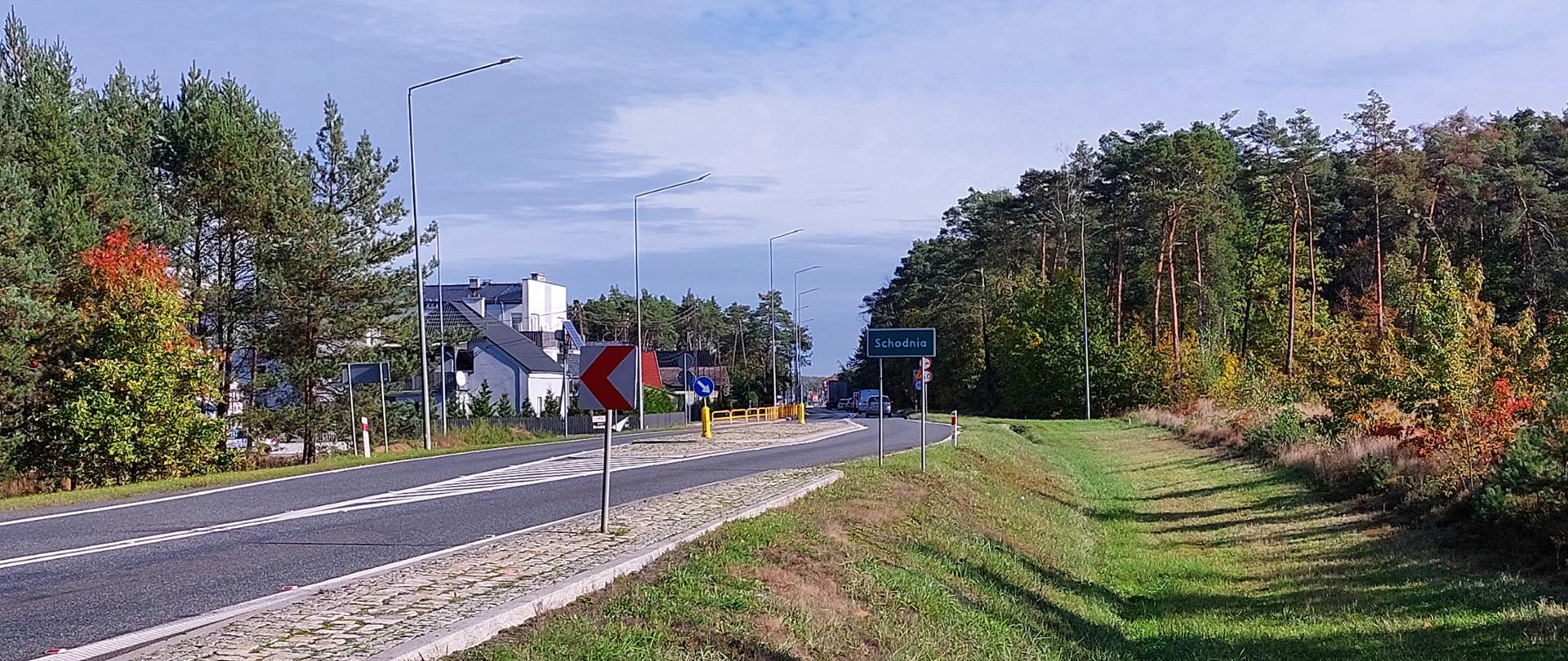 Fragment DK46 Dębska Kuźnia - Schodnia