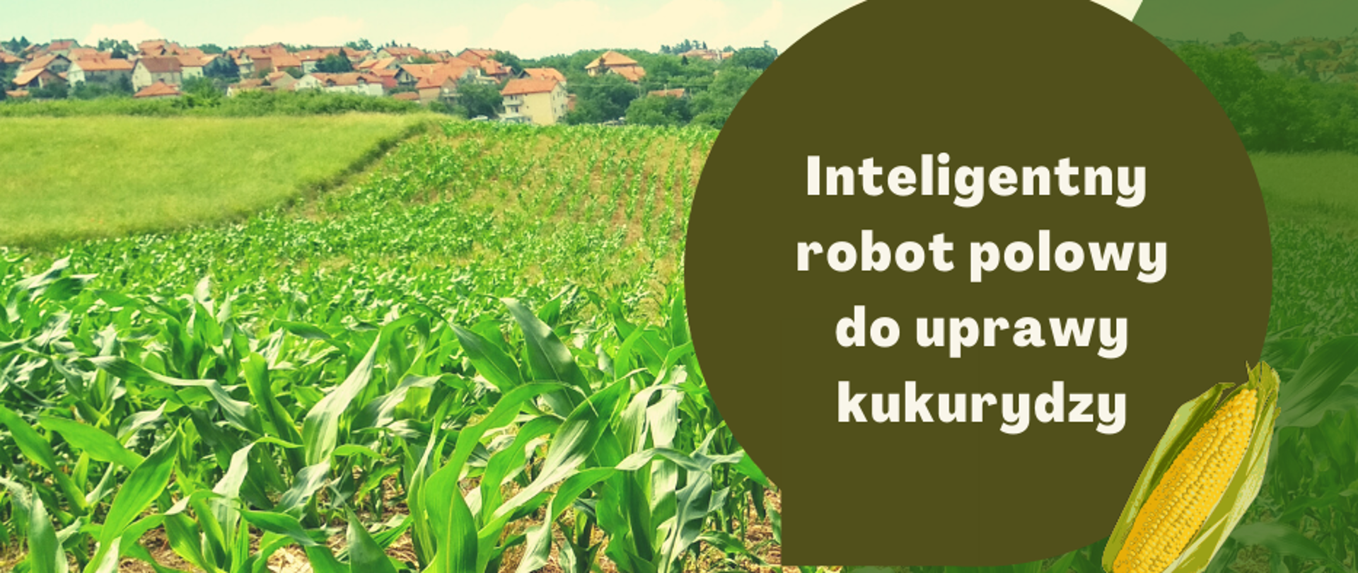 W tle prostokątnej grafiki pole młodej kukurydzy, w tle zarysowują się zabudowania gospodarcze z czerwonymi dachami. Z prawej strony grafiki na ciemniejszym zielonym tle napis: Inteligentny robot polowy do uprawy kukurydzy. Obok napisu kolba dojrzałej kukurydzy. Pod nią oznaczone hashtagami napisy: Szybka Ścieżka oraz Fundusze UE. Pod grafiką wąski pasek 4 logotypów: Fundusze Europejskie Inteligentny Rozwój z białą, żółtą i czerwoną gwiazdką na niebieskim tle; Rzeczpospolita Polska z biało-czerwoną flagą; Narodowe Centrum Badań i Rozwoju z czerwonym napisem i odwróconymi tyłem do siebie szarymi literami BR; Unia Europejska - Europejski Fundusz Rozwoju Regionalnego z okręgiem żółtych gwiazdek wpisanym w niebieskie prostokątne tło flagi.
