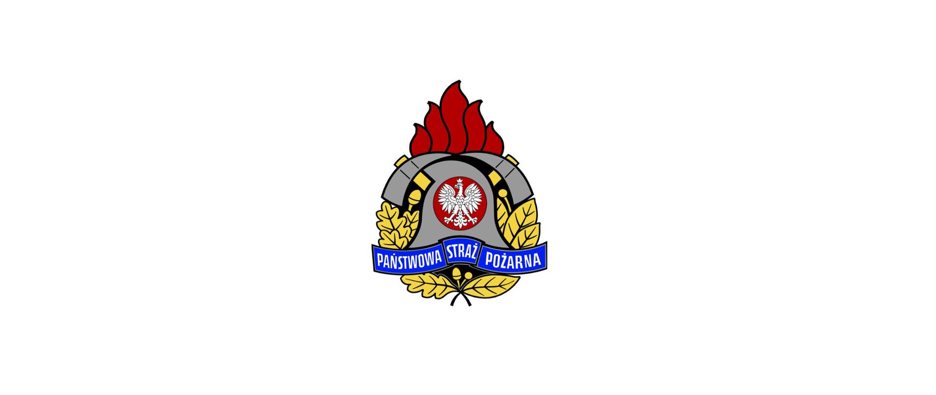 Logo PSP 2024