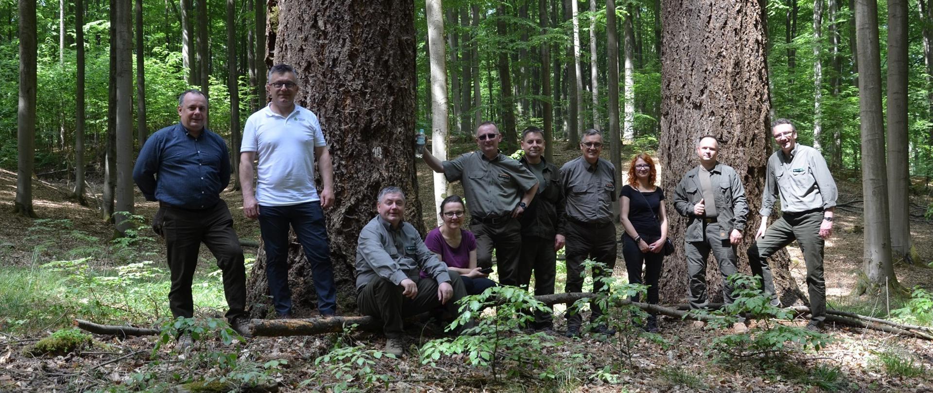 Na tle lasu do zdjęcia pozuje grupa dziesięciu osób. Stoją obok dwóch drzew o grubych pniach. Mężczyzna i kobieta siedzą na pniu.