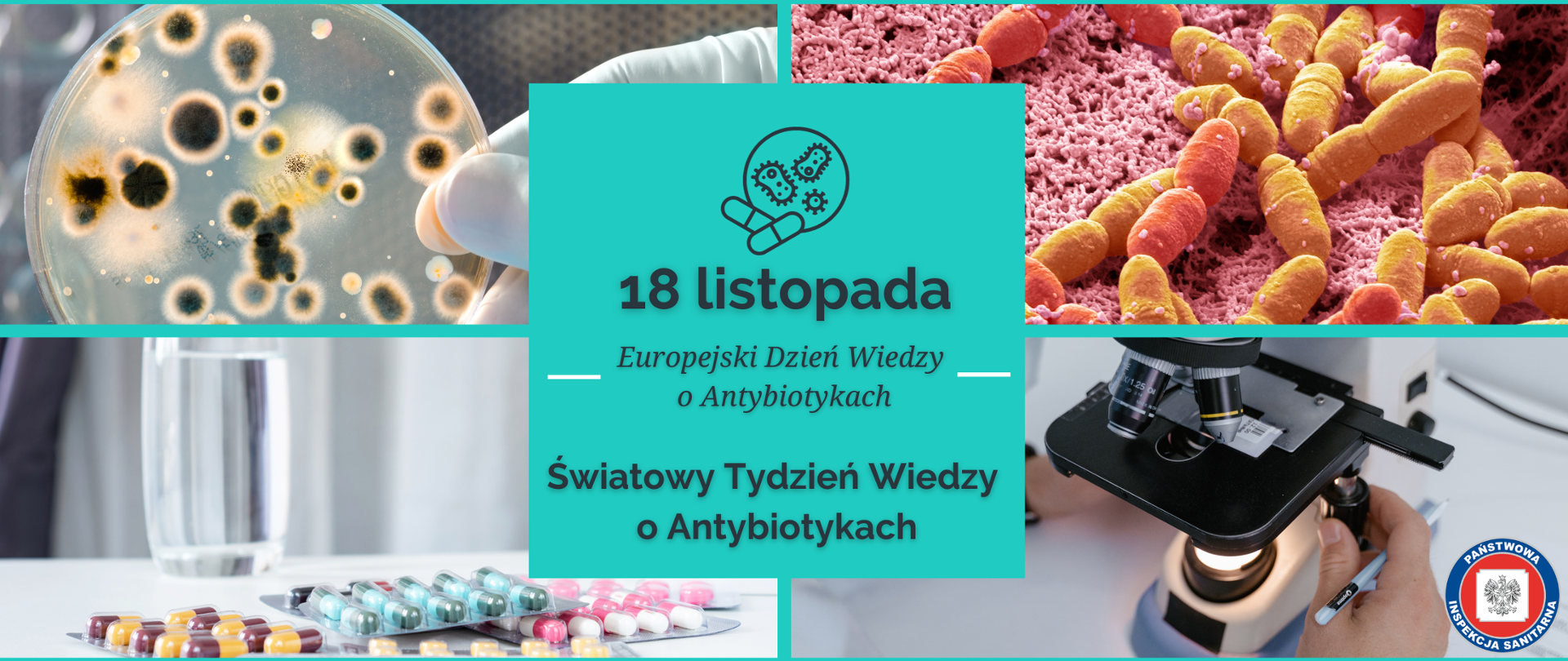 Europejski Dzień Wiedzy o Antybiotykach