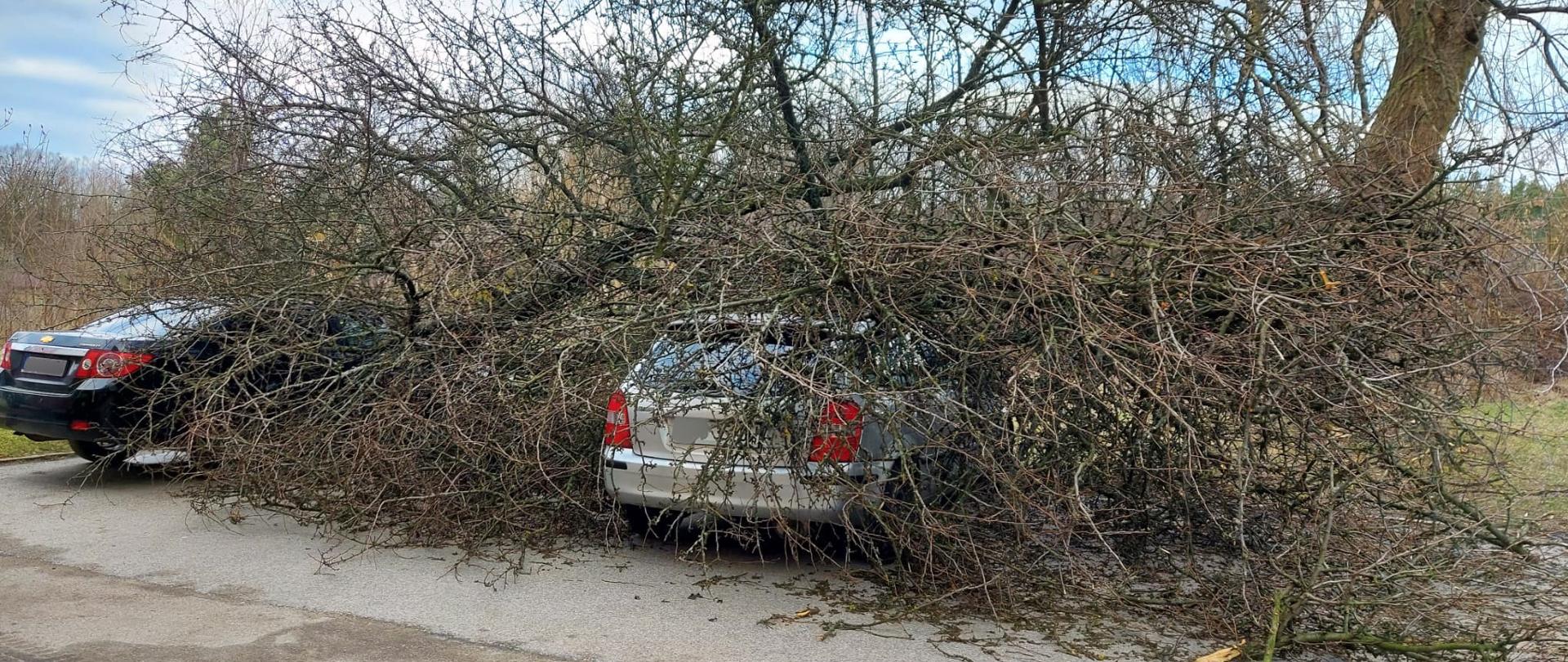 strażacy usuwają wiatrołomy z samochodów osobowych na parkingu