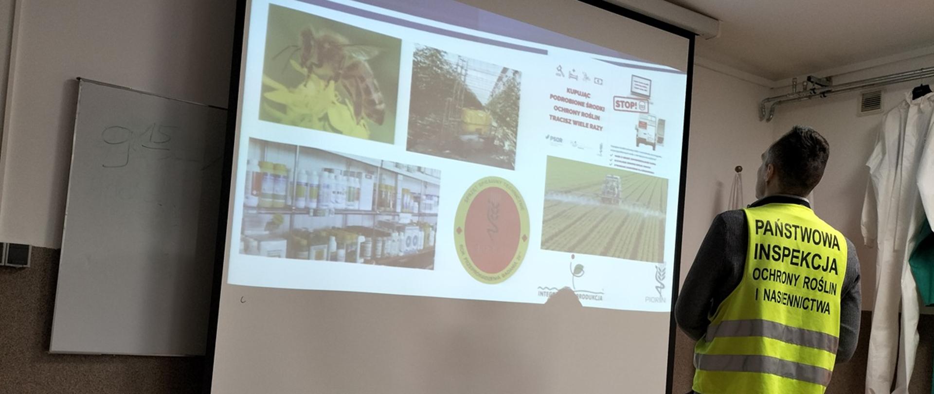 Inspektor w odblaskowej kamizelce z napisem Państwowa Inspekcja Ochrony Roślin i Nasiennictwa stoi w sali szkoleniowej i omawia wyświetlaną na ekranie prezentację dotyczącą ochrony roślin. Na slajdzie widoczne są m.in. zdjęcia pszczoły, oprysków na polu oraz środków ochrony roślin. 