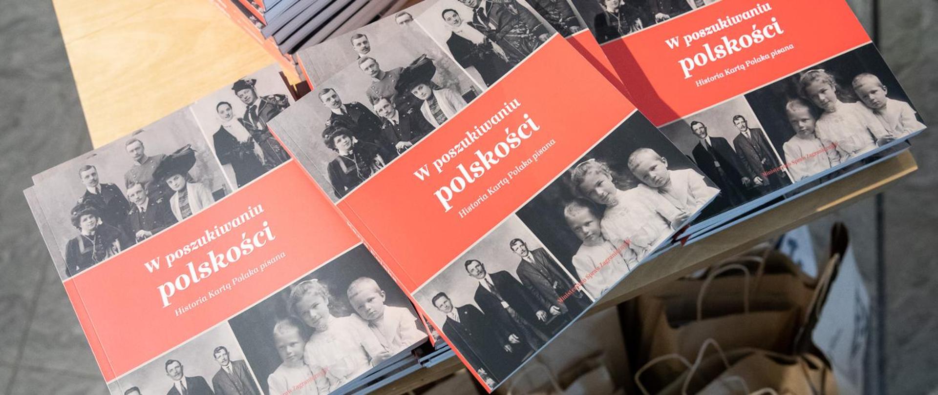W poszukiwaniu polskości. Karta Polaka, Polacy i polskie dziedzictwo kulturowo-historyczne na Wschodzie