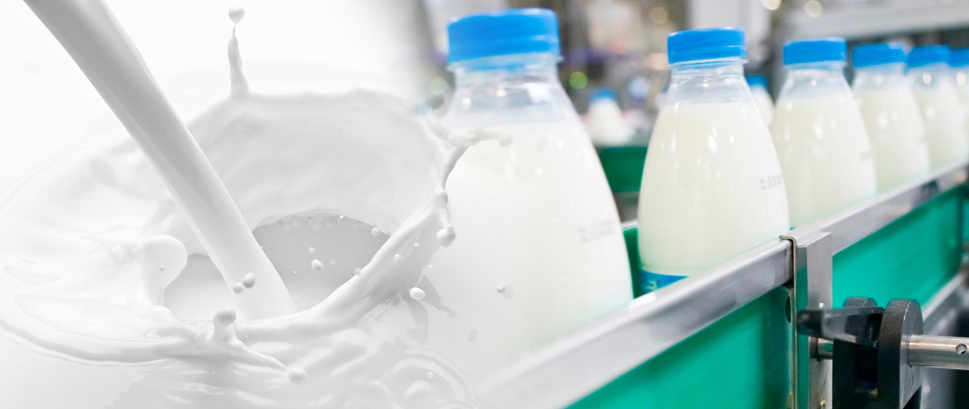 Tworzenie_i_rozwój_organizacji_producentów