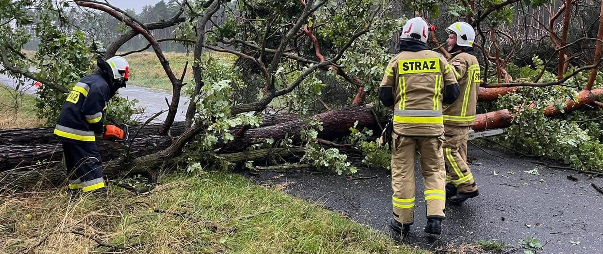 Na zdjęciu znajduje się powalone drzewo na jezdnię, przy usuwaniu pracują trzej strażacy, w tym jeden z piłą