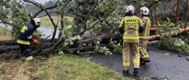 Na zdjęciu znajduje się powalone drzewo na jezdnię, przy usuwaniu pracują trzej strażacy, w tym jeden z piłą
