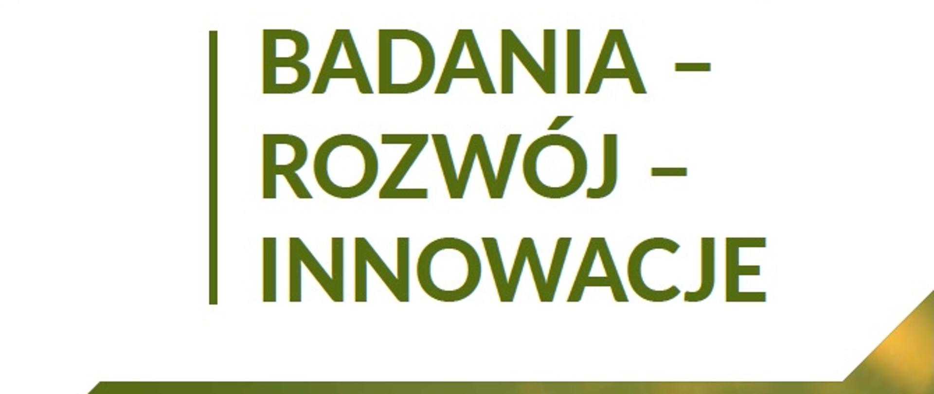 Badania-Rozwój-Innowacje. Wybrane zagadnienia