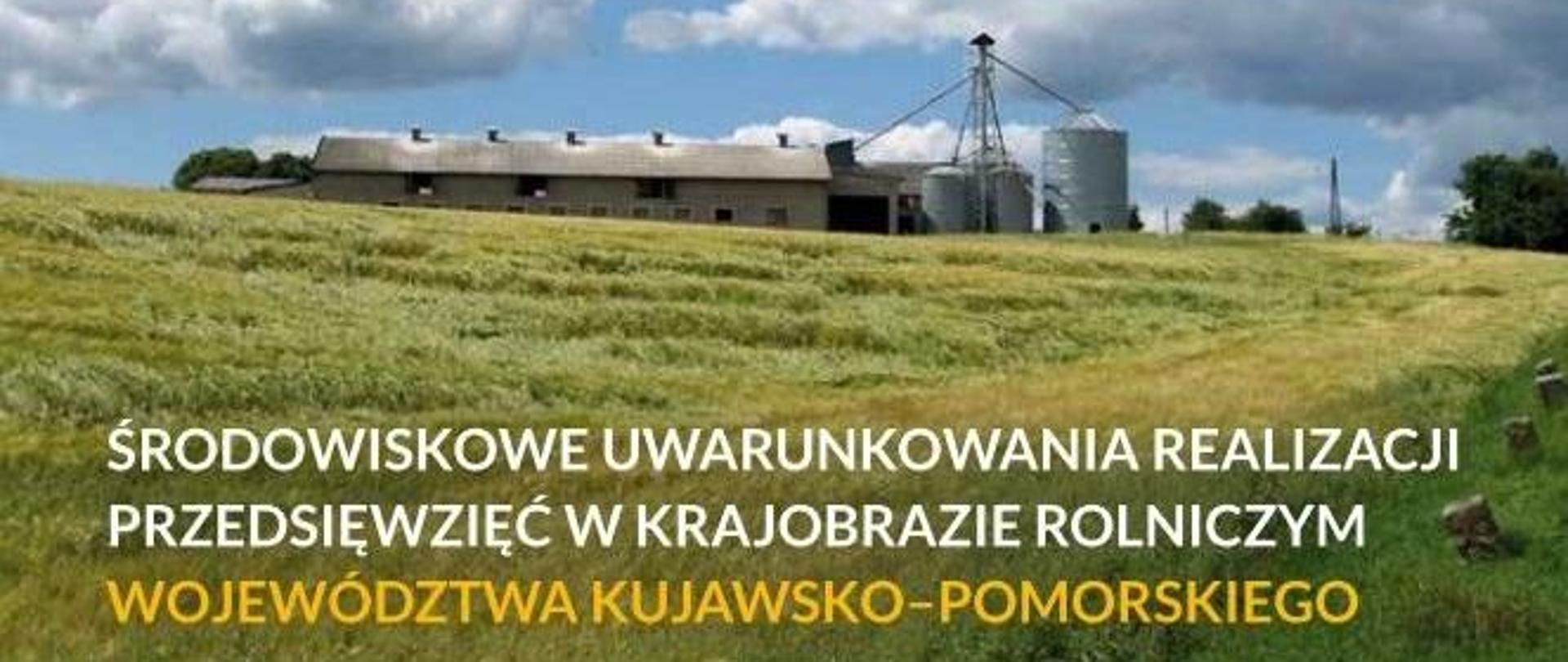 Okładka - Środowiskowe uwarunkowania realizacji przedsięwzięć w krajobrazie rolniczym