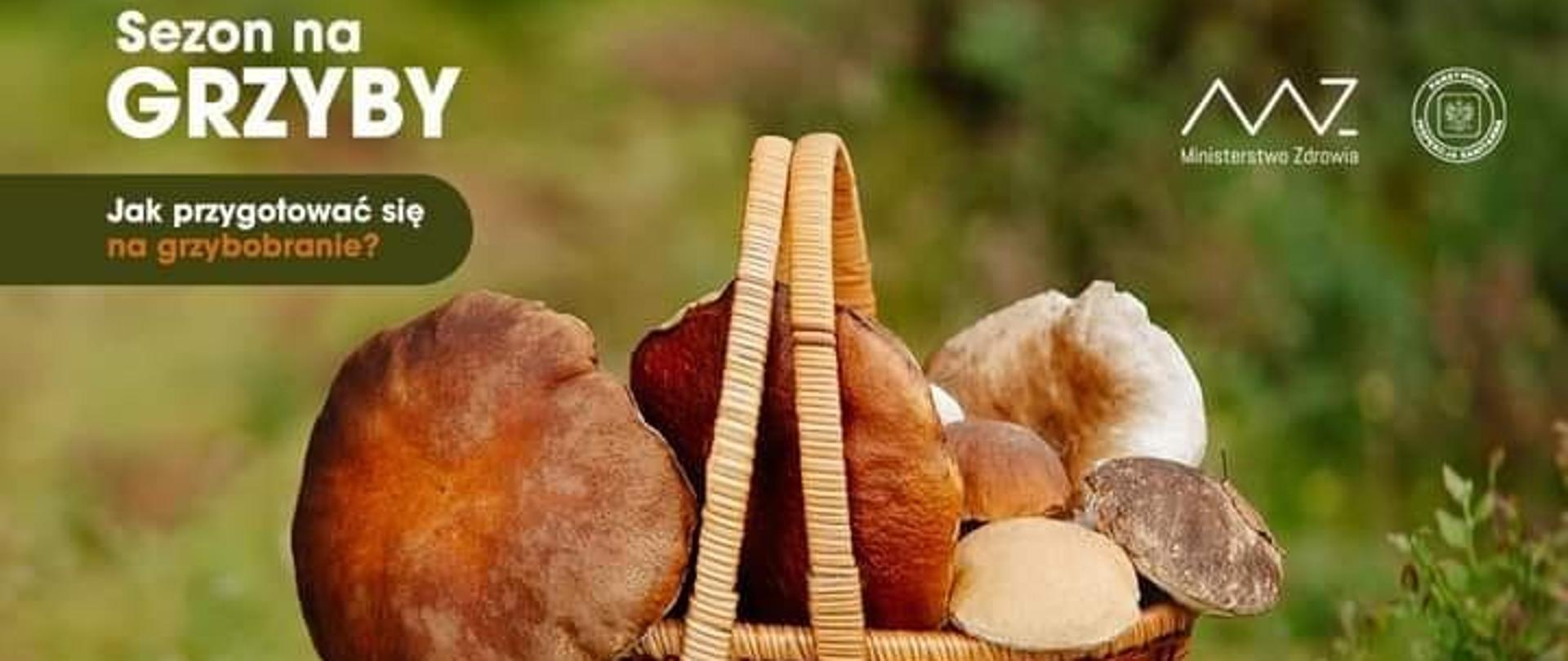 Plansza przedstawiająca zdjęcie z opisem jak przygotować się na grzybobranie.