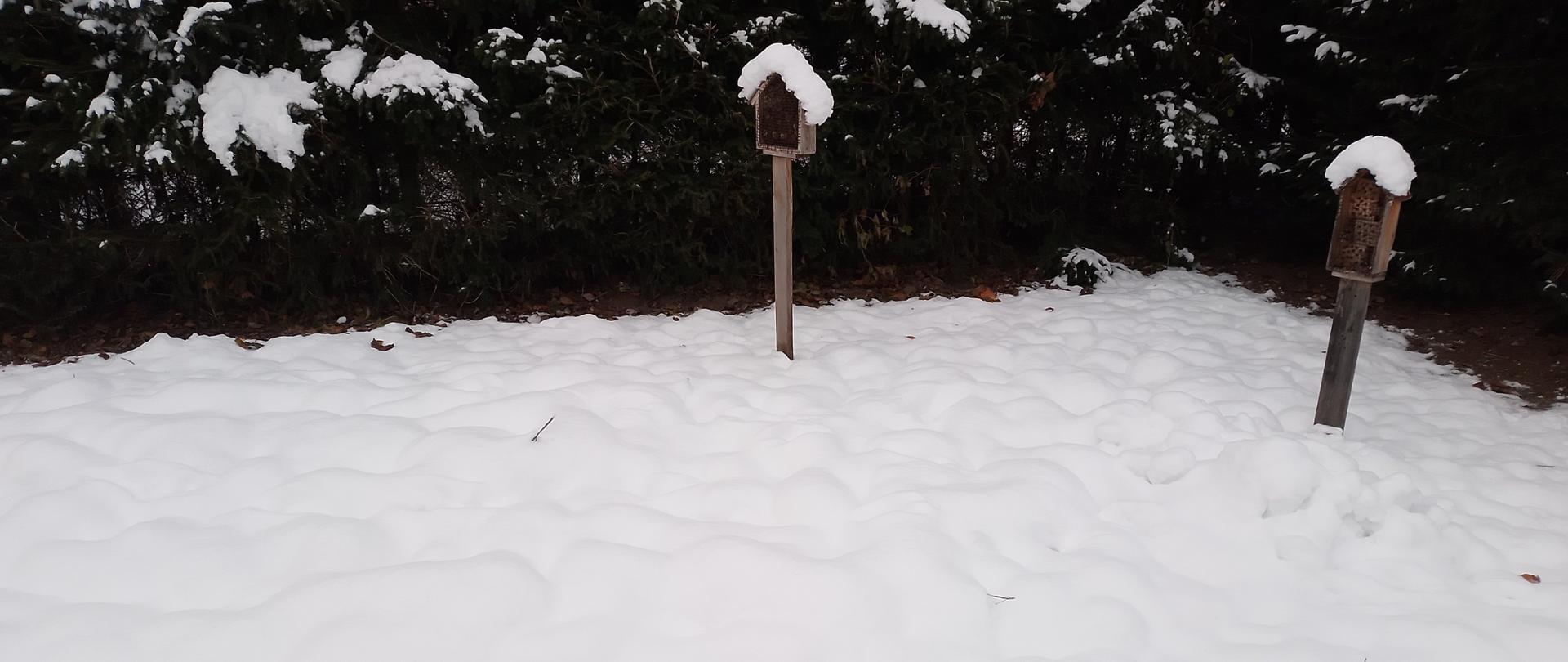 Zdjęcie przedstawia hoteliki dla owadów stojące na ziemi pokrytej grubą warstwą śniegu.