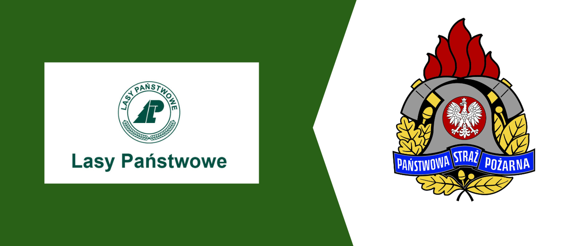 Baner z logo Lasów Państwowych i PSP 