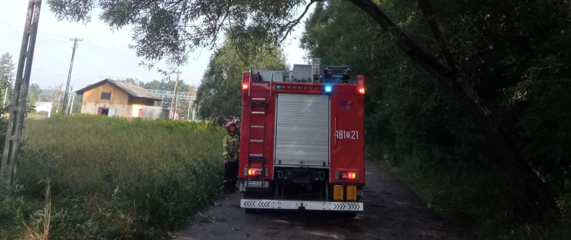 Zdjęcie przechylone drzewo nad jezdnią, zagrażające przejeżdżającym pojazdom. Za drzewem stoi samochód gaśniczy i strażacy, którzy będą likwidować przechylone drzewo.