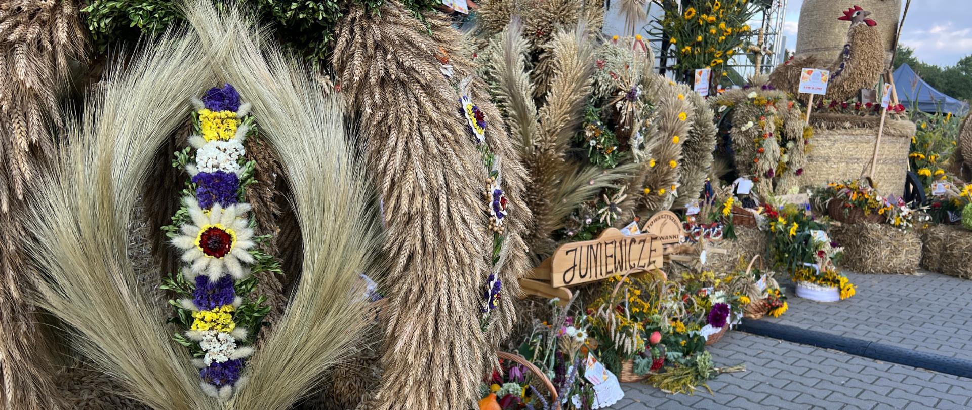 Dożynki powiatowe w Łosicach