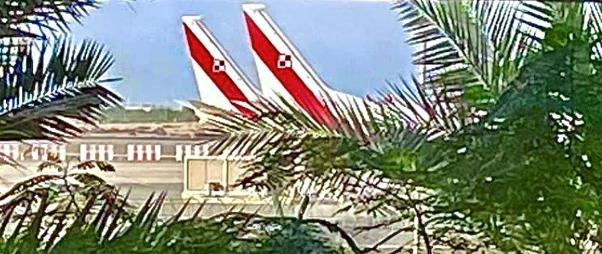 Polish government planes