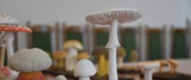 Powiat Kaliski przekazał Sanepidowi modele grzybów na cele edukacyjne