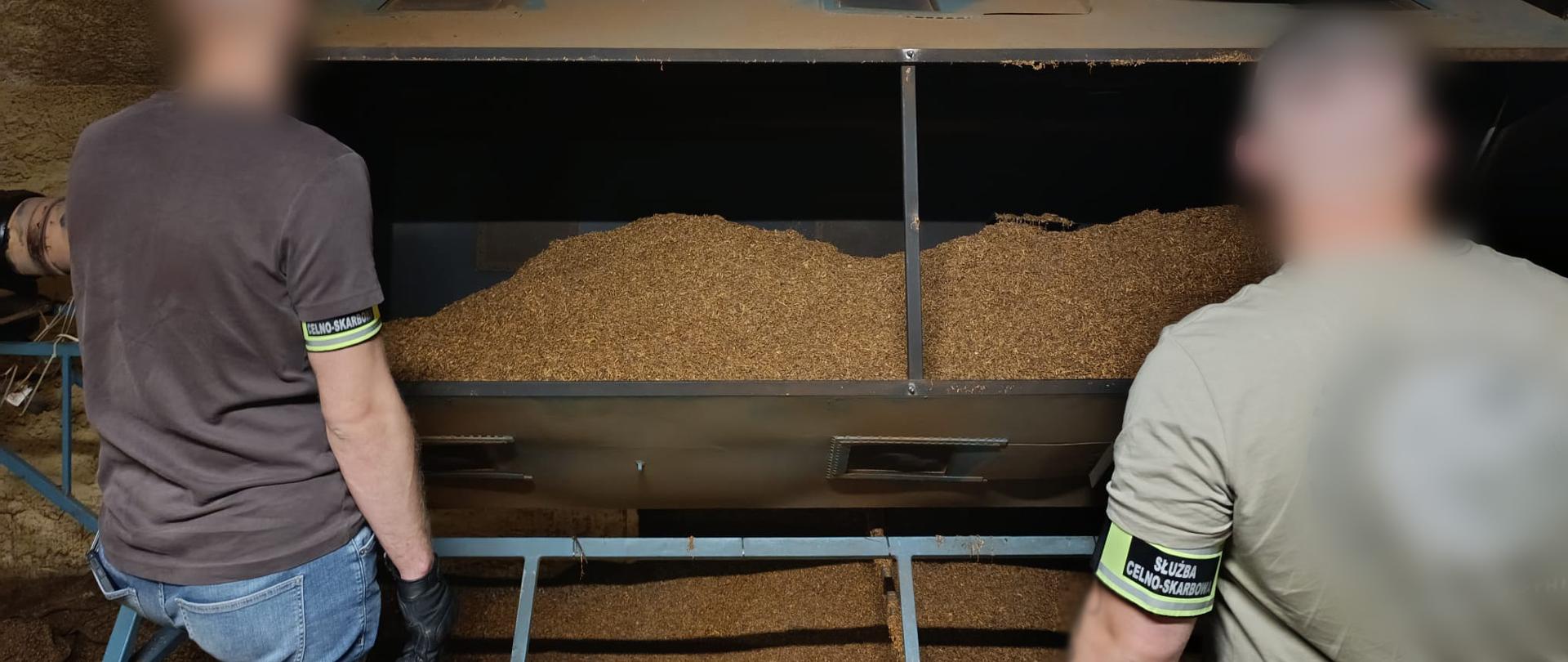 Dwóch funkcjonariuszy Służby Celno-Skarbowej stoją przed dużym urządzeniem wypełnionym rozdrobnionym suszem roślinnym w hali produkcyjnej.