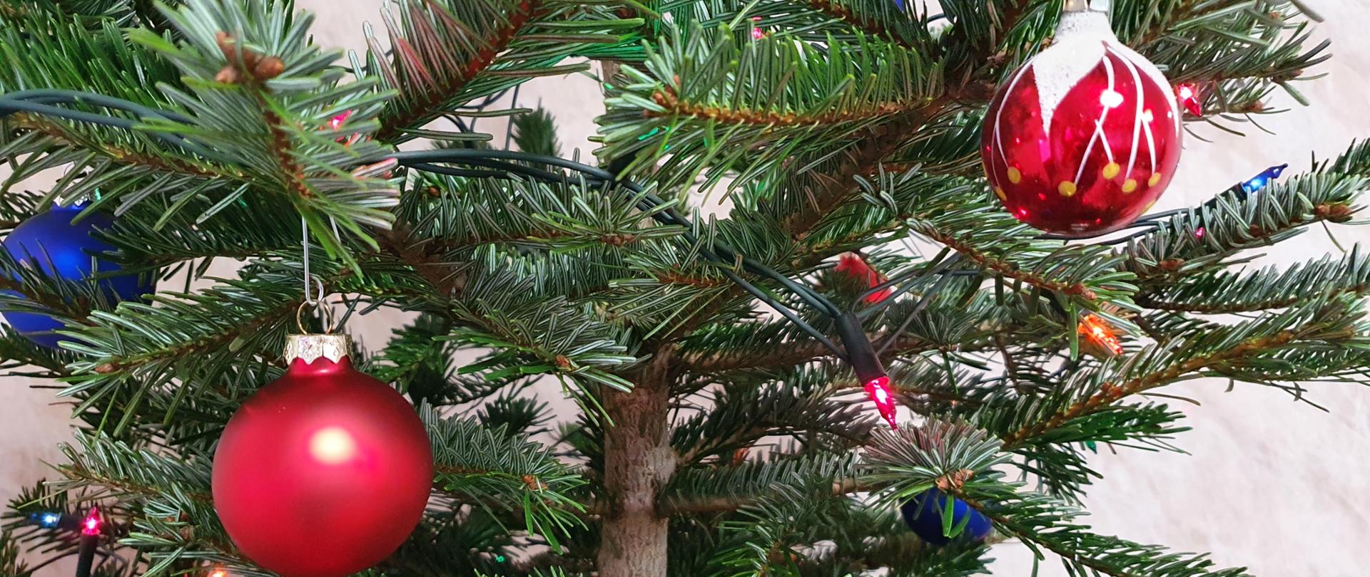 Zdjęcie przedstawia fragment choinki wraz z kolorowymi bombkami 