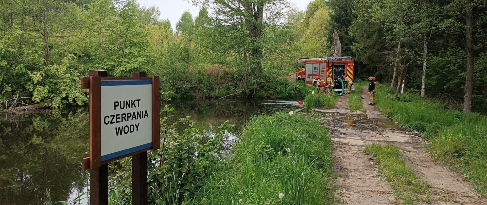 las. Z prawej strony leśna droga. Z lewej strony leśny zbiornik wodny. W oddali samochód strażacki i strażacy.