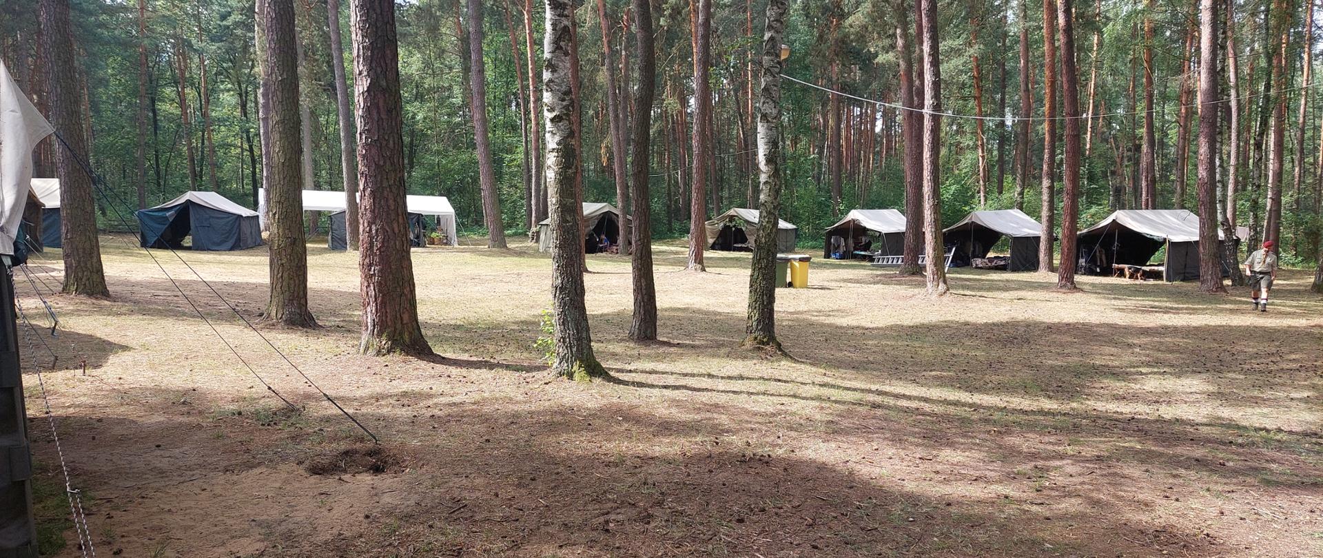 Zdjęcie przestawia rozbity obóz harcerski w lesie, 8 namiotów wśród drzew