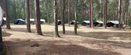 Zdjęcie przestawia rozbity obóz harcerski w lesie, 8 namiotów wśród drzew