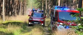 Kolejne zdjęcie przedstawia przejazd samochodów strażackich po drodze leśnej pierwszy widoczny samochód jest samochodem dowódcy plutonu gaśniczego, po lewej stronie stoi już samochód strażacki , który prowadzi już działania w miejscu pożaru.
