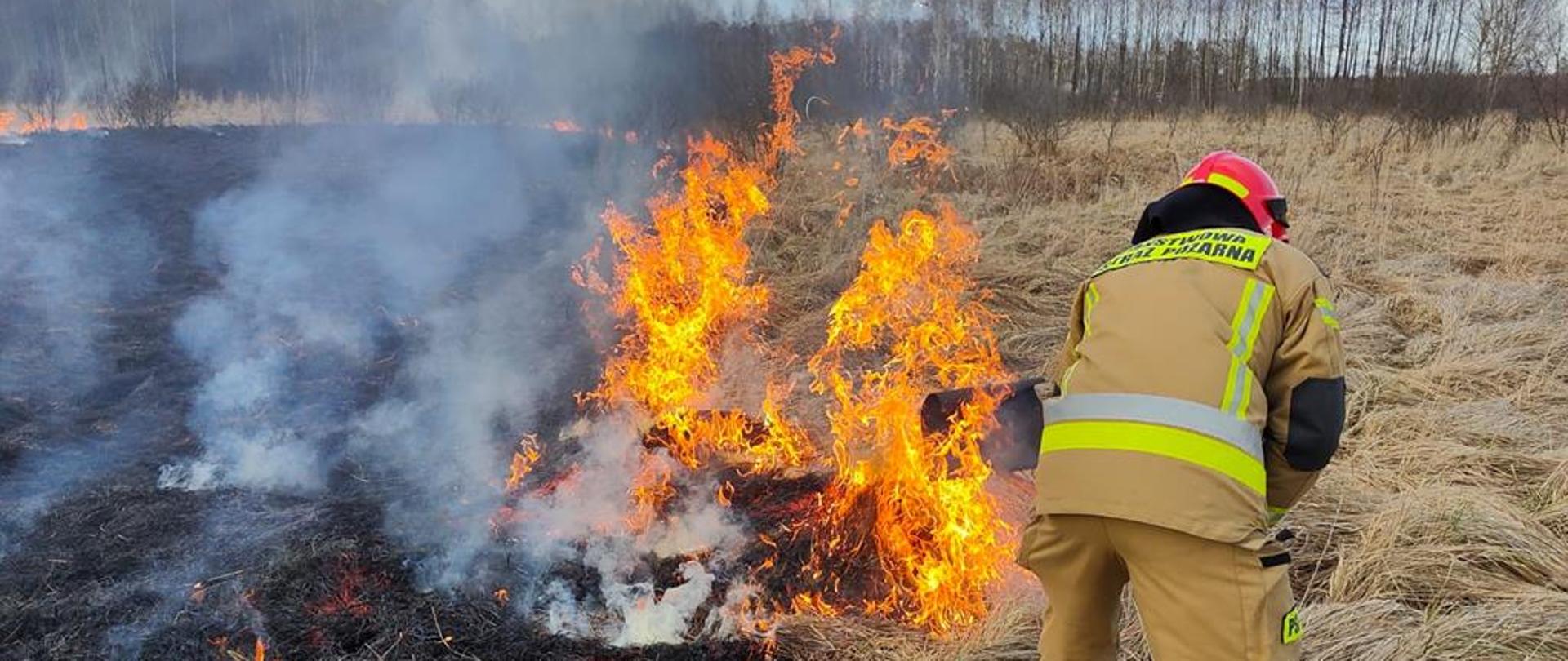 Pożar trawy na nieużytkach 