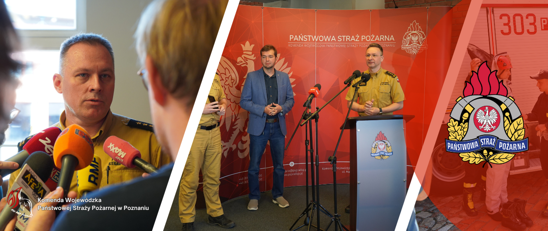 Briefing prasowy dot. owadów błonkoskrzydłych