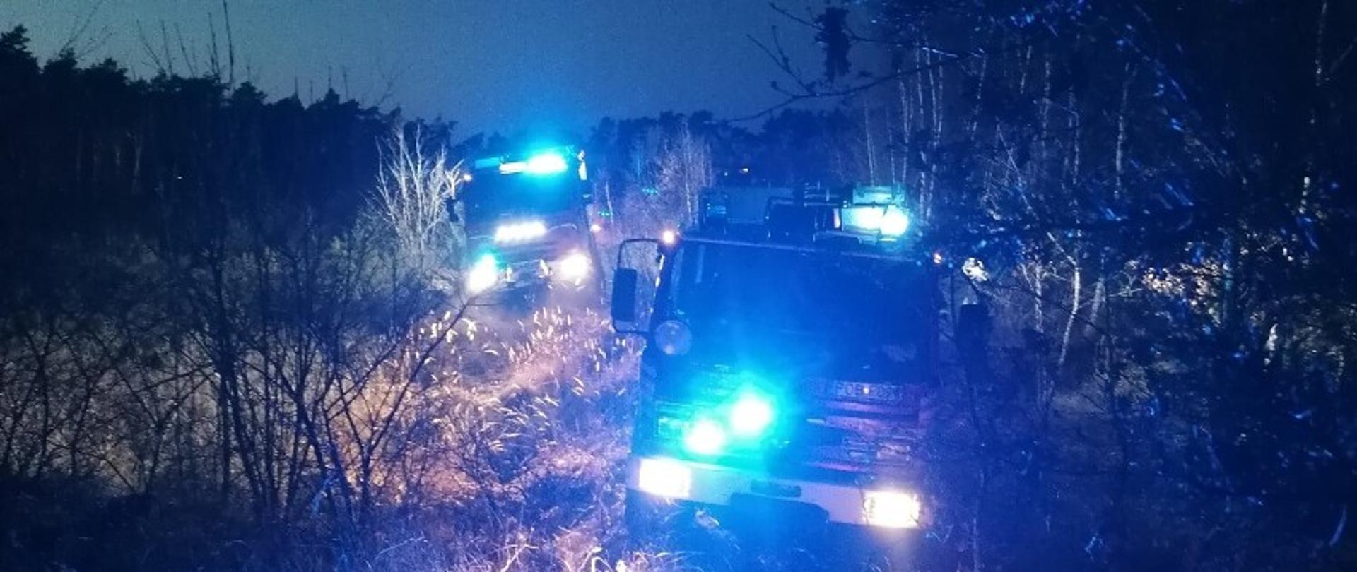 Pożar lasu przy ul. Łukowskiej w Obornikach