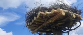 bocianie gniazdo