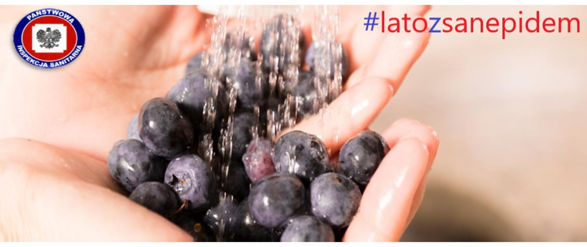 Bąblowica - choroba niemytych jagód