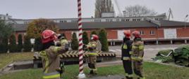 Uroczyste podniesienie flagi