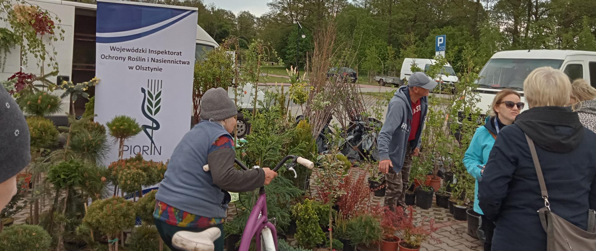 Na targowisku ustawiono stoisko z sadzonkami drzew, krzewów i roślin ozdobnych w doniczkach. Obok baneru Wojewódzkiego Inspektoratu Ochrony Roślin i Nasiennictwa w Olsztynie kilka osób ogląda rośliny i rozmawia przy stoisku z Inspektorem. W tle widoczne są samochody oraz drzewa