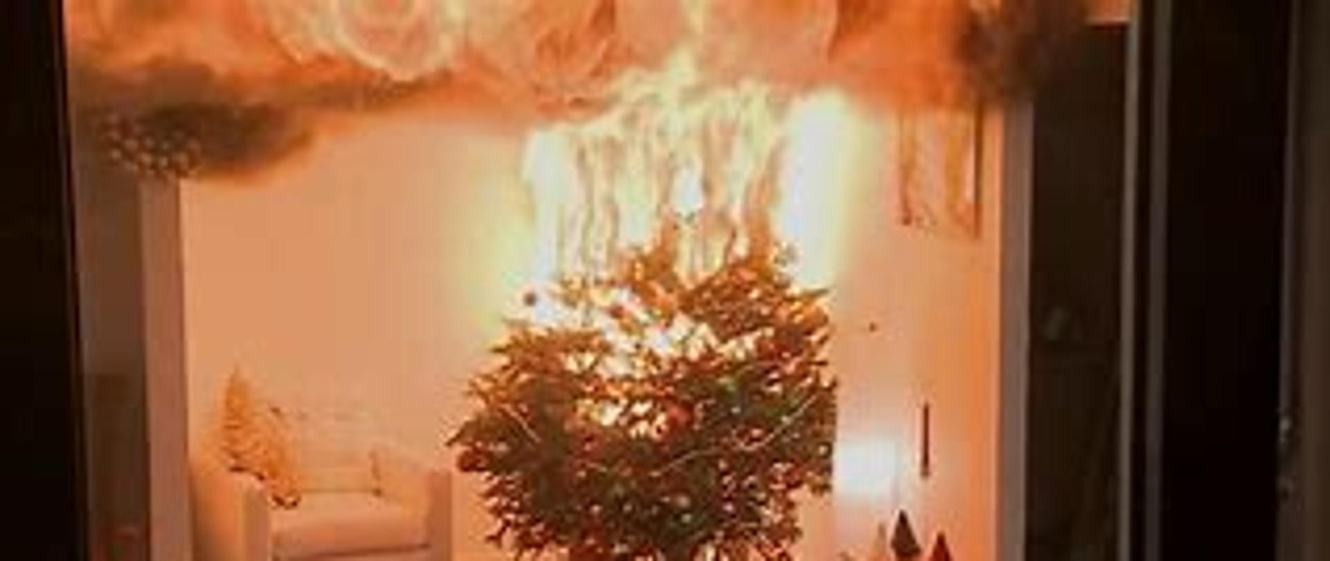 Zdjęcie przedstawia pożar choinki w pokoju