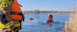 Zdjęcie przedstawia strażaków nad zamarzniętym akwenem wodnym ćwiczących ratownictwo wodne. 