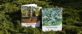 Dwie książki, stojące wśród zieleni. Tytuł książki stojącej po lewej stronie: Bezgraniczny skarb- ochrona przyrody polsko-niemieckiego pogranicza. Tytuł książki stojącej po prawej stronie: Przyroda nie zna granic- ochrona przyrody polsko-niemieckiego pogranicza. 