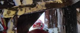 Na zdjęciu znajdują się strażacy podczas gaszenia elementów drewnianych konstrukcji wieży kościelnej. Belki oblepione są pianą gaśniczą. 