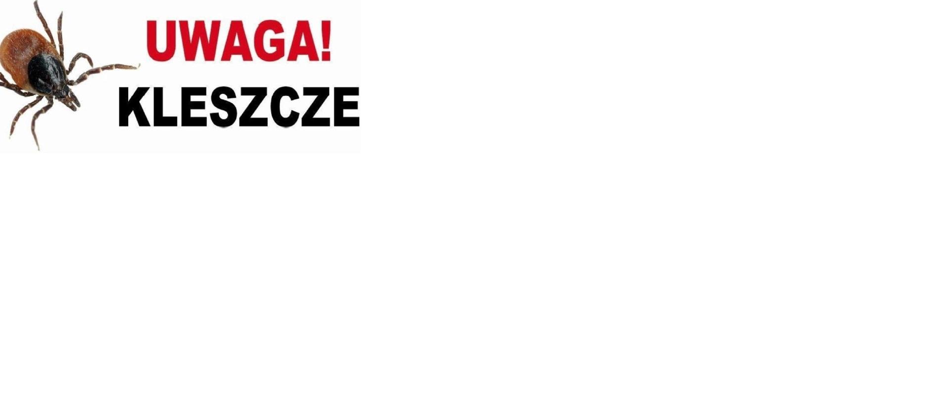 Uwaga! Kleszcze