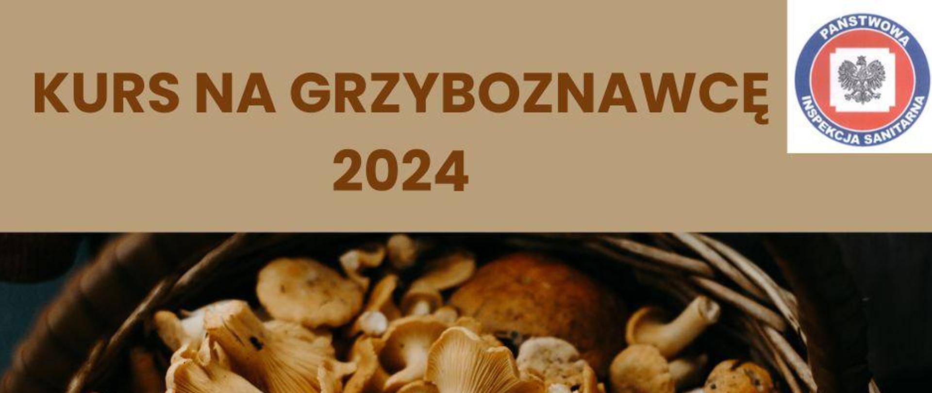 Kurs na grzyboznawcę baner