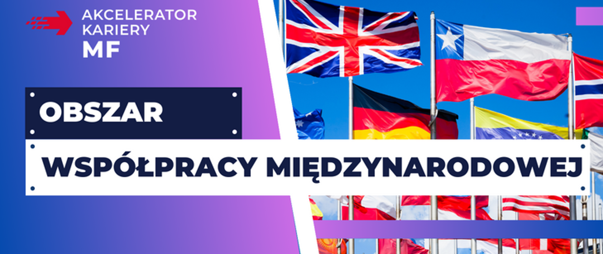 obszar_współpraca_międzynarodowa