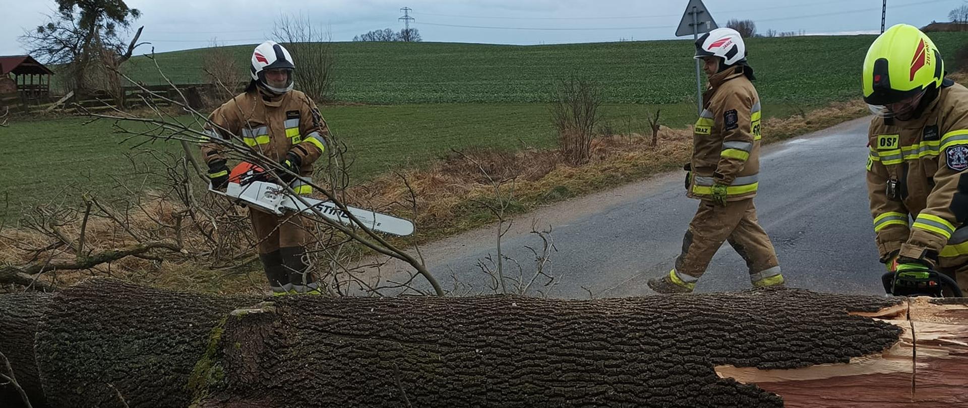 Strażacy dokonują pocięcia obalonego drzewa