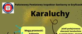 Karaluchy