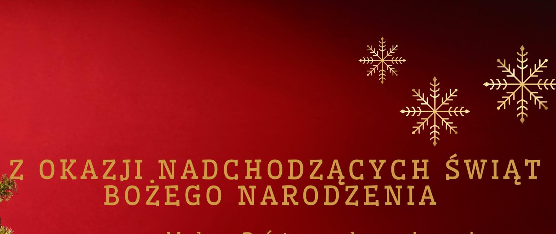 Plakat na czerwonym tle z kolorową choinką i prezentami po stronie lewej, w lewym dolnym rogu. Na całości znajdują się życzenia Bożonarodzeniowe w kolorze złotym. 
