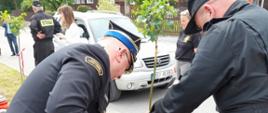 Komendant Powiatowy PSP w Siemiatyczach sadzi drzewo z okazji 100-lecia OSP Mielnik