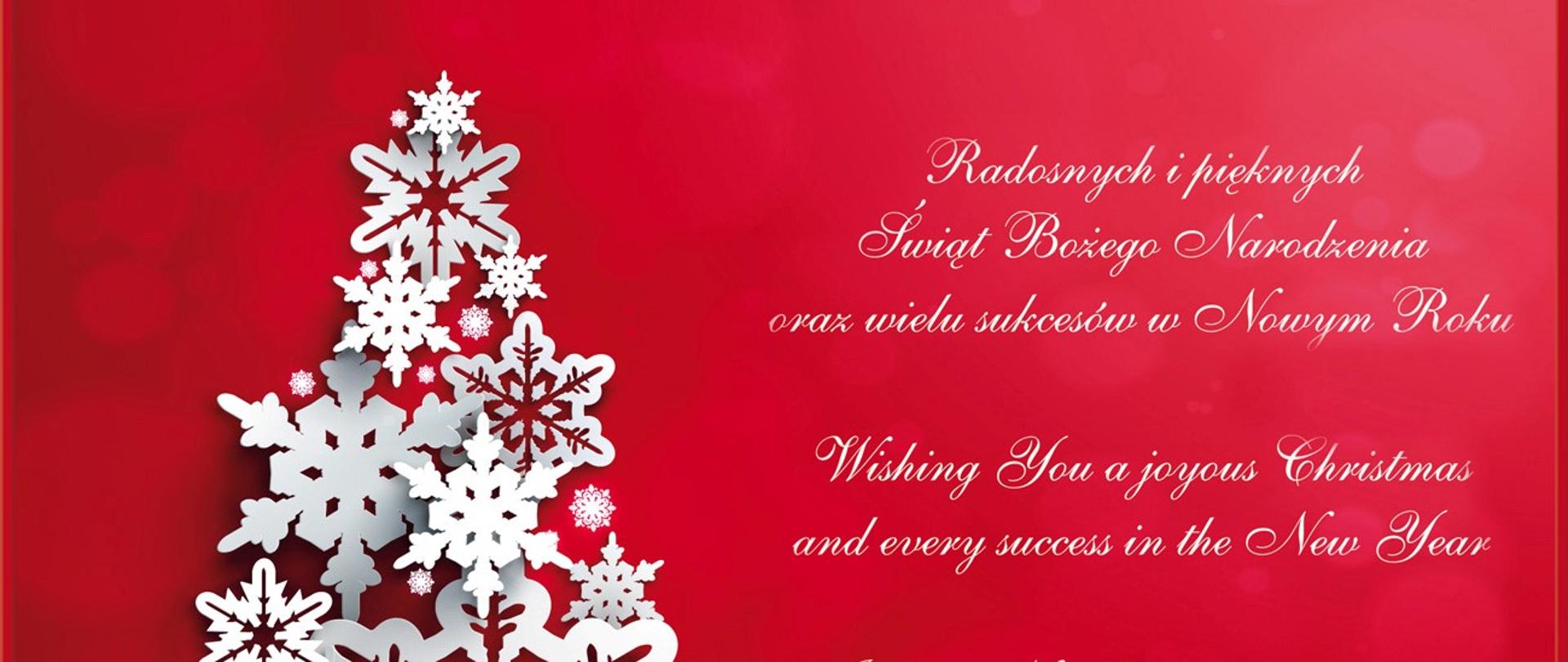 Wesołych Świąt Bożego Narodzenia i Szczęśliwego Nowego Roku