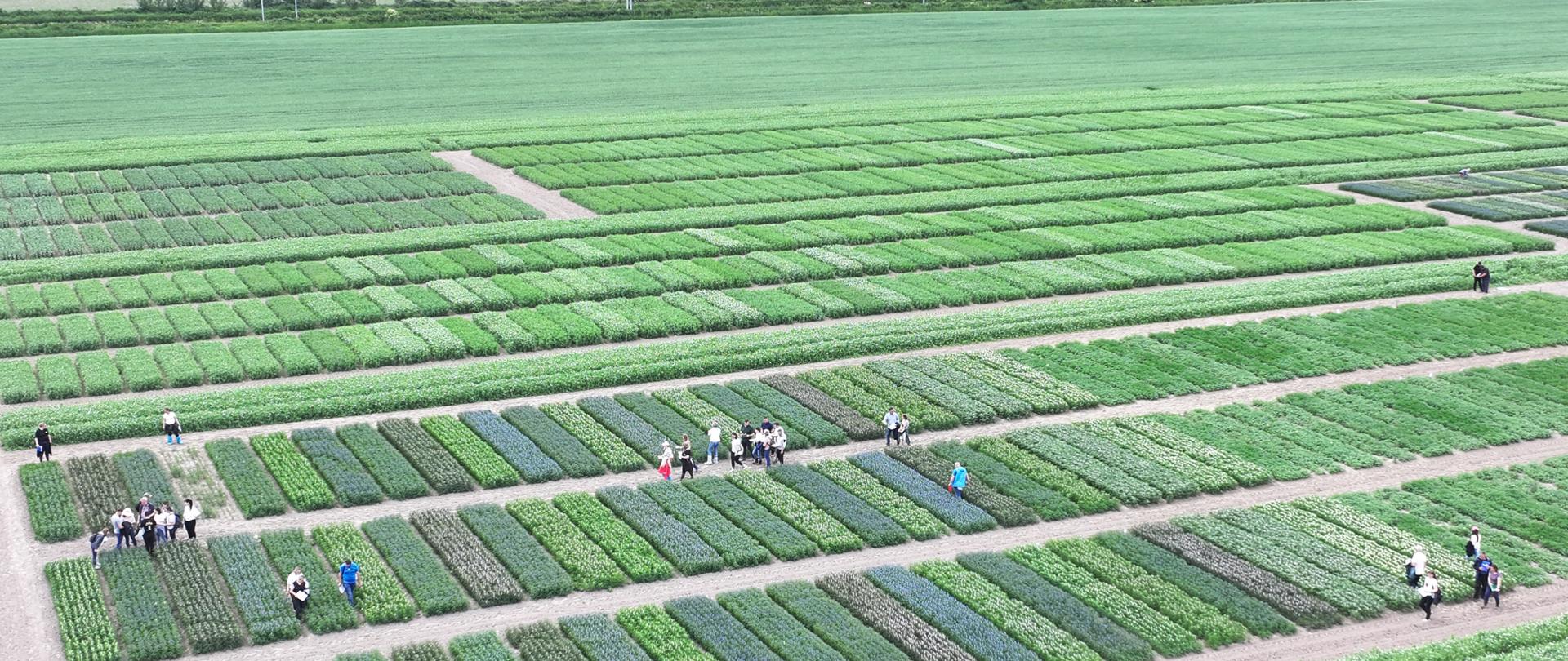 Uczestnicy szkolenia na poletkach przygotowanych przez SDOO Pawłowice