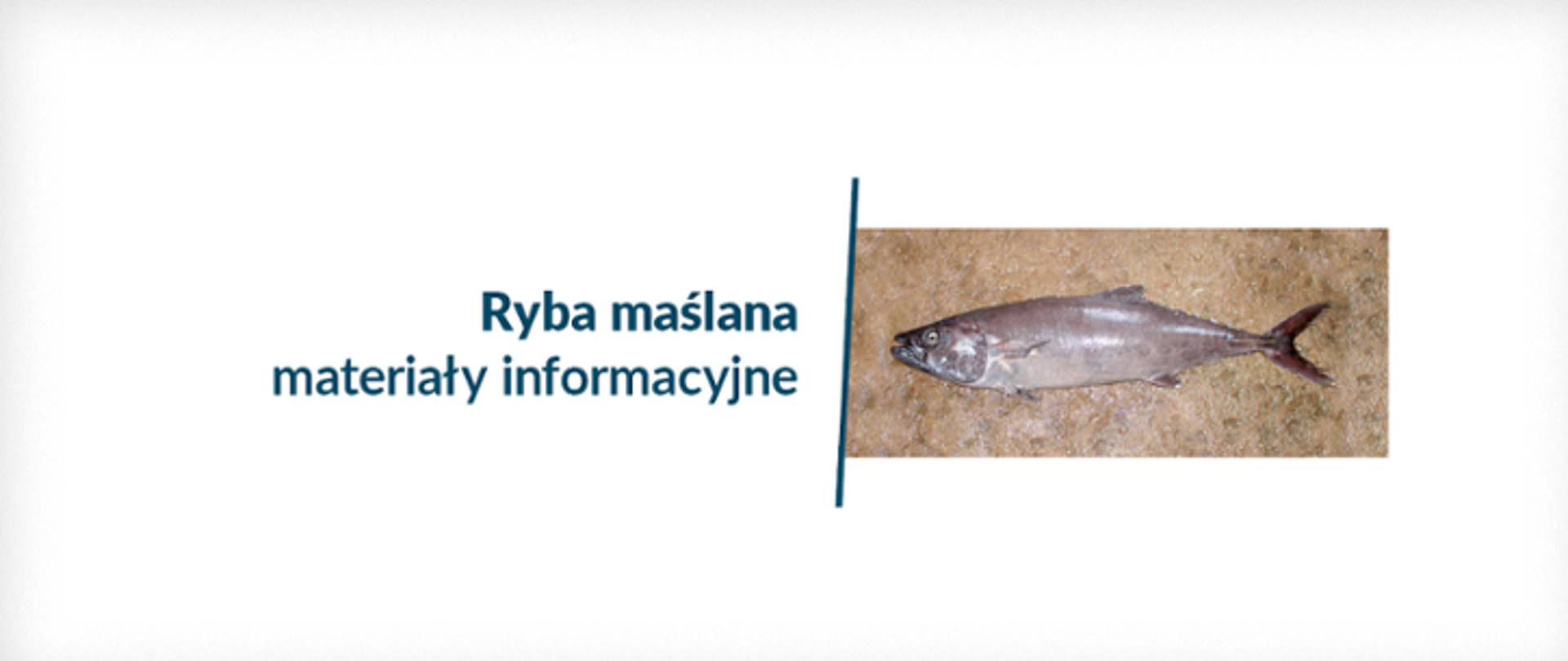 Napis: Ryba maślana - materiały informacyjne - po prawej stronie zdjęcie ryby