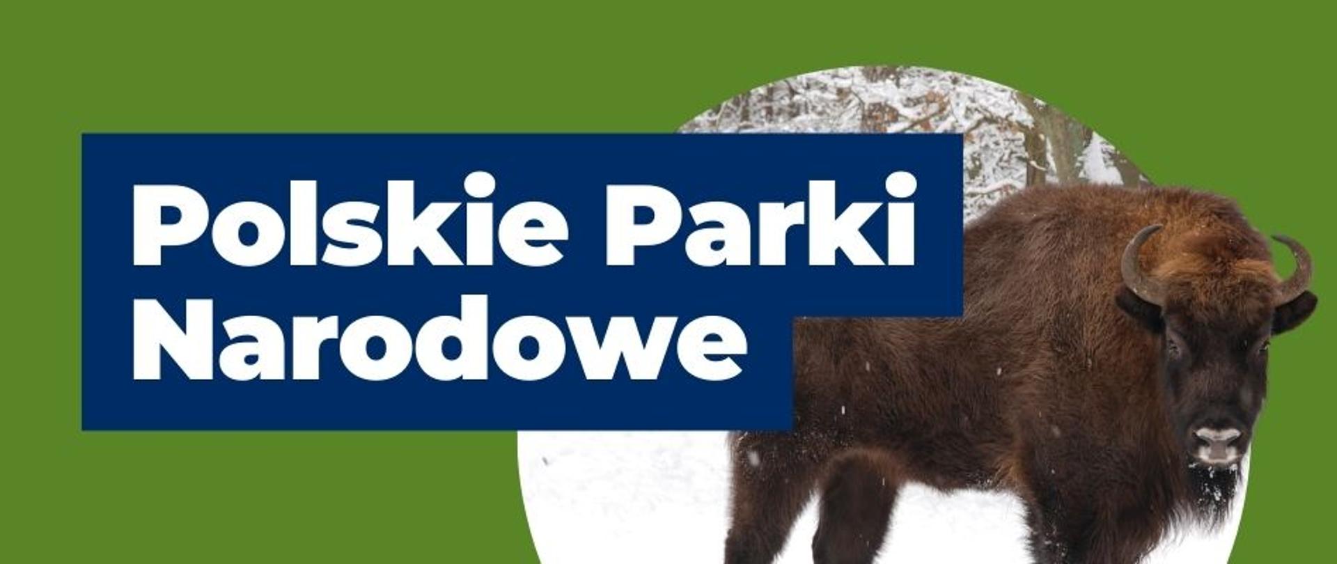 baner Polskie Parki Narodowe 