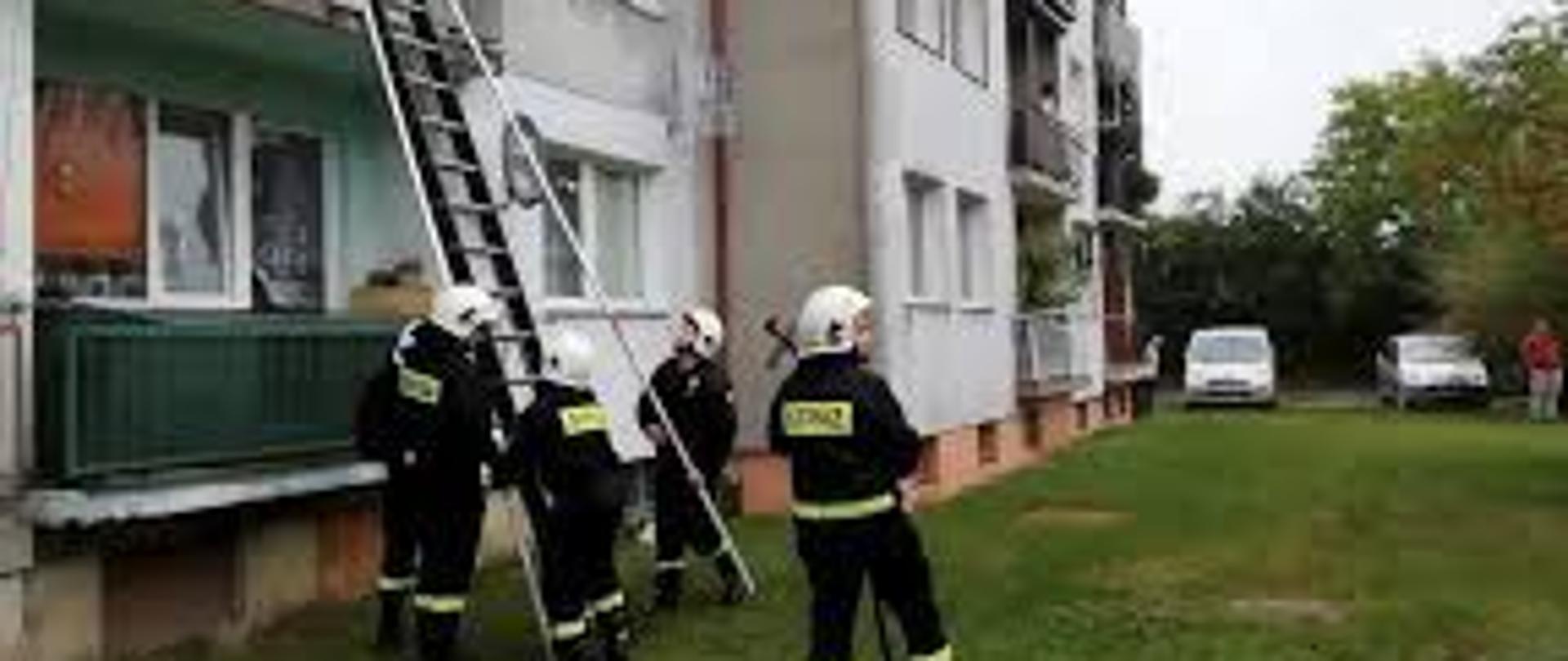 Strażacy z drabiną